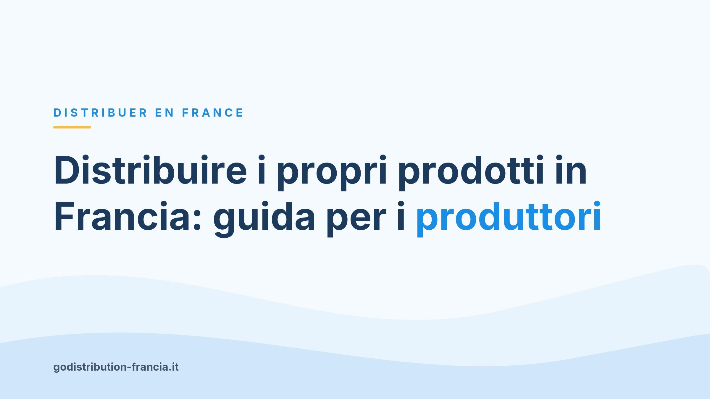 Distribuire i propri prodotti in Francia: guida per i produttori
